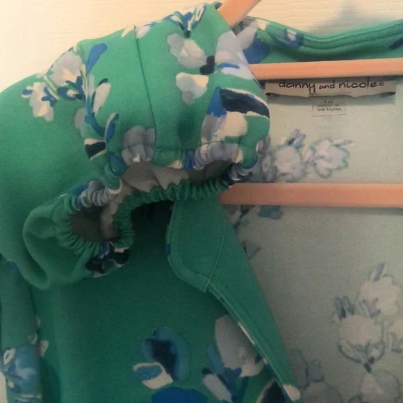 Danny & Nicole Women's Sage/Ivory Funnel V-Neck Dress Size 18 - Picture 8 of 16